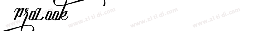 1 ProLook字体转换